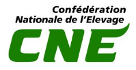 logo-CNE-cmjn-e1746609192884